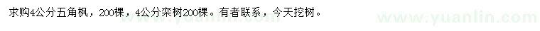 求購4公分五角楓、欒樹