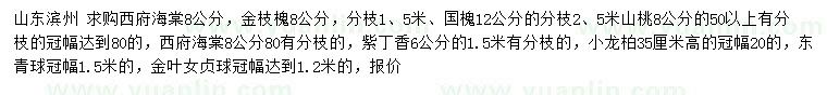 求購西府海棠、金枝槐、國槐等