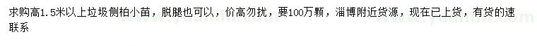 求購(gòu)高1.5米以上垃圾側(cè)柏小苗