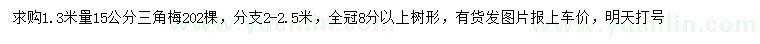 求購1.3米量15公分三角梅