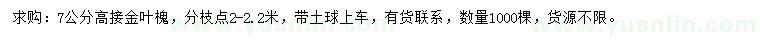 求購7公分高接金葉槐