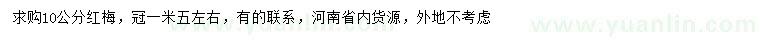 求購10公分紅梅