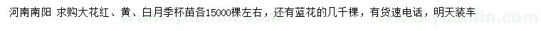 求購大花紅、黃、白月季