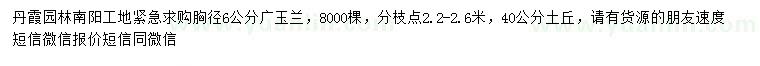 求購(gòu)胸徑6公分廣玉蘭