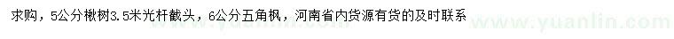 求購(gòu)5公分楸樹(shù)、6公分五角楓