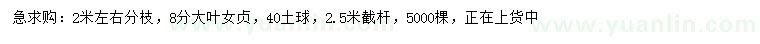 求購8分大葉女貞