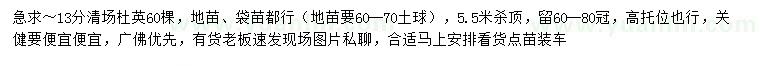 求購(gòu)13公分杜英
