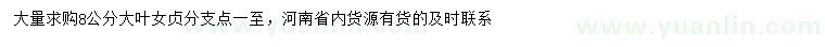 求購8公分大葉女貞