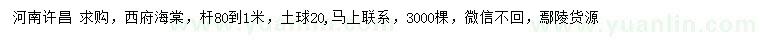 求購(gòu)西府海棠