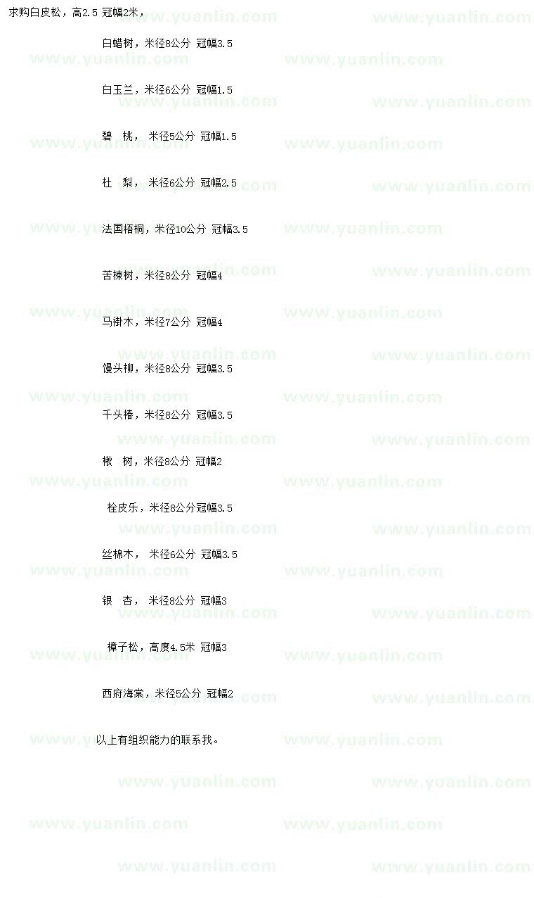 求購白皮松、白蠟、白玉蘭等
