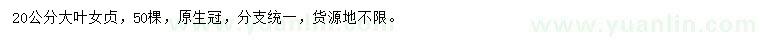 求購20公分大葉女貞