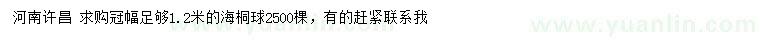 求購(gòu)冠幅足夠1.2米海桐球