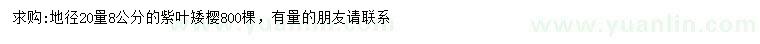 求購(gòu)地徑20量8公分紫葉矮櫻