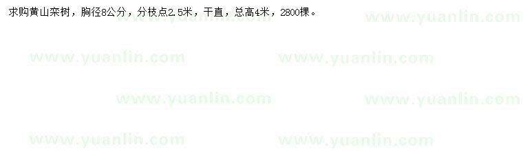 求購胸徑8公分黃山欒樹
