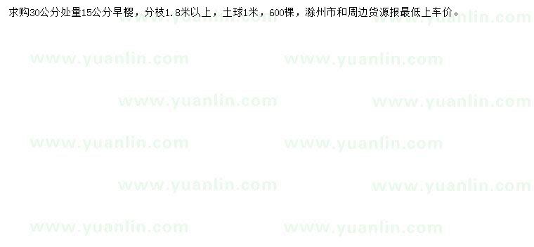 求購30公分量15公分早櫻
