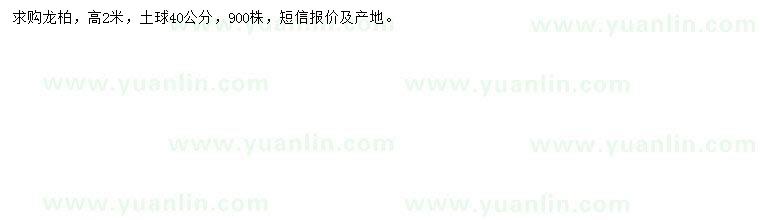 求購高2米龍柏