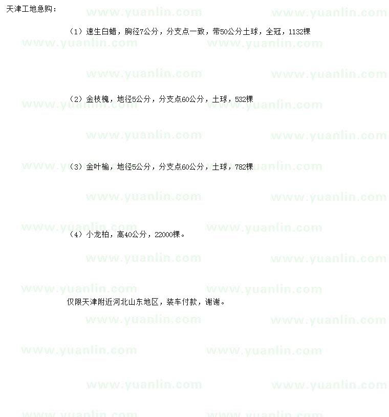 求購速生白蠟、金枝槐、金葉榆等