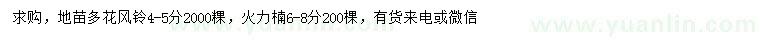 求購(gòu)4-5公分多花風(fēng)鈴、6-8公分火力楠