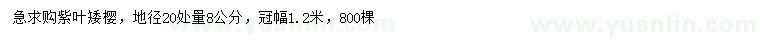 求購地徑20公分量8公分紫葉矮櫻