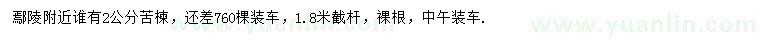 求購2公分苦楝