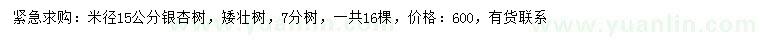 求購米徑15公分銀杏