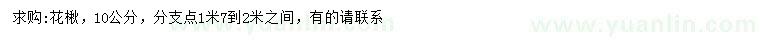 求購(gòu)10公分花楸