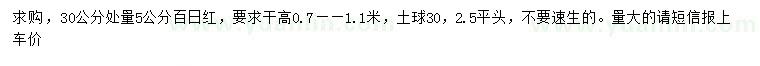 求購30公分量5公分百日紅