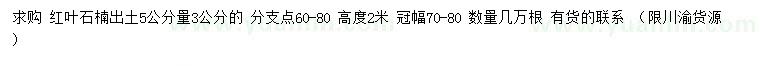 求購5公分量3公分紅葉石楠