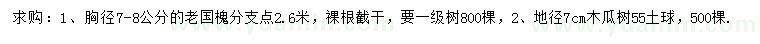 求購胸徑7-8公分老國槐、地徑7公分木瓜樹