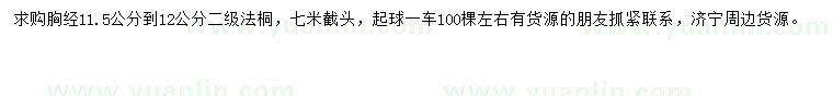求購(gòu)11.5-12公分法桐