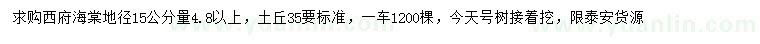 求購15公分西府海棠