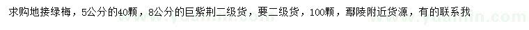 求購5公分綠梅、8公分巨紫荊