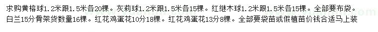 求購黃榕球、灰莉球、紅繼木等
