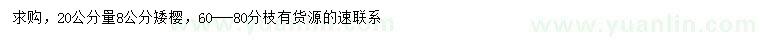 求購20公分量8公分矮櫻