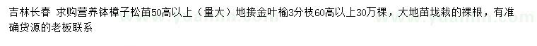 求購高50公分以上樟子松苗、60公分以上地接金葉榆