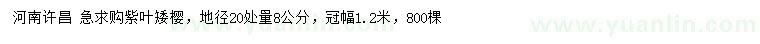 求購地徑20處量8公分紫葉矮櫻