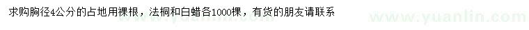 求購4公分法桐、白蠟