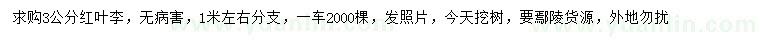 求購3公分紅葉李