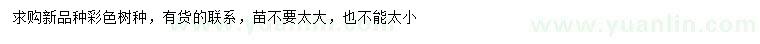 求購新品種彩色樹種