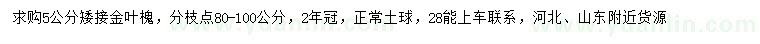 求購5公分矮接金葉槐