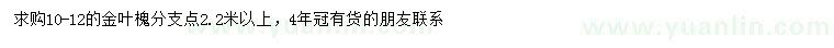 求購10-12公分金葉槐