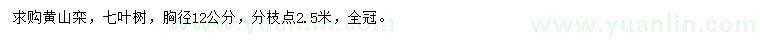求購胸徑12公分黃山欒、七葉樹