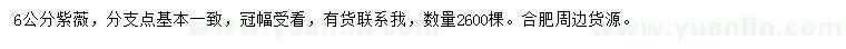 求購6公分紫薇