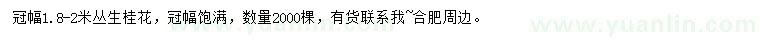 求購冠幅1.8-2米叢生桂花