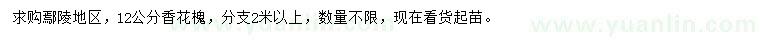 求購12公分香花槐