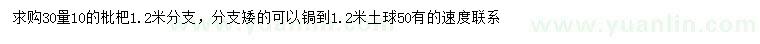 求購30量10公分枇杷