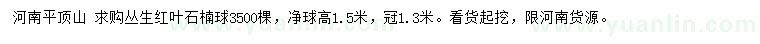 求購高1.5米叢生紅葉石楠球