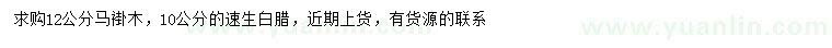 求購(gòu)12公分馬褂木、10公分速生白蠟