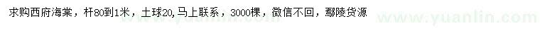 求購(gòu)桿80-1米西府海棠