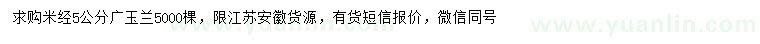 求購米徑5公分廣玉蘭
